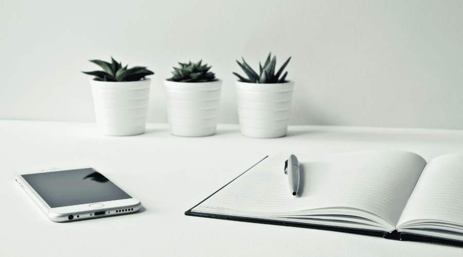 My First Year As a Technical Writer
